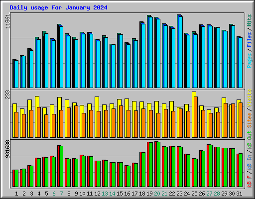 Daily usage for January 2024