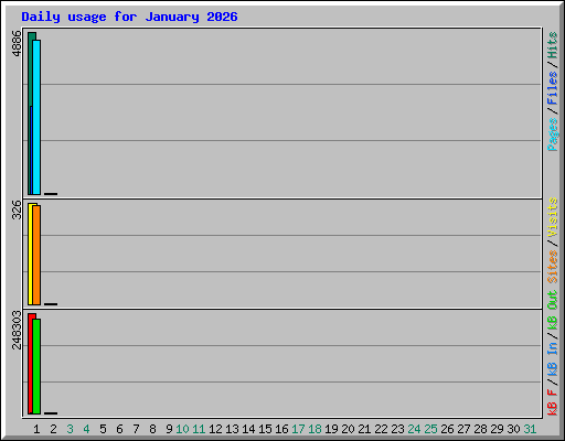 Daily usage for January 2026