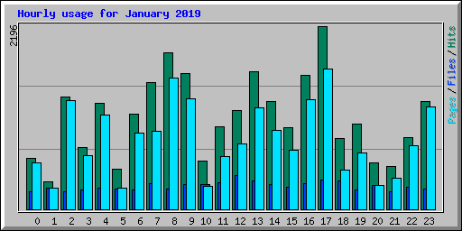 Hourly usage for January 2019