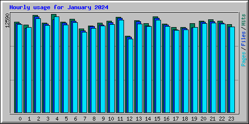 Hourly usage for January 2024