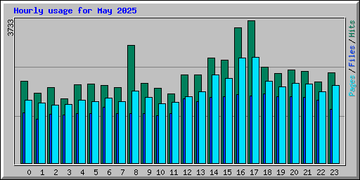 Hourly usage for May 2025