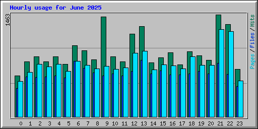 Hourly usage for June 2025