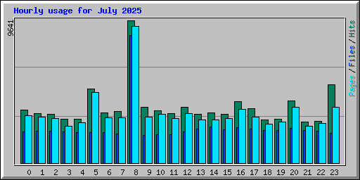 Hourly usage for July 2025