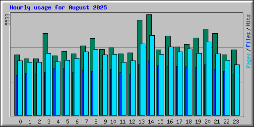 Hourly usage for August 2025
