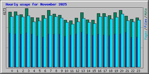 Hourly usage for November 2025