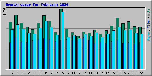 Hourly usage for February 2026