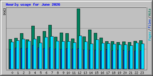 Hourly usage for June 2026
