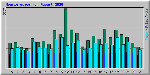 Hourly usage for August 2026
